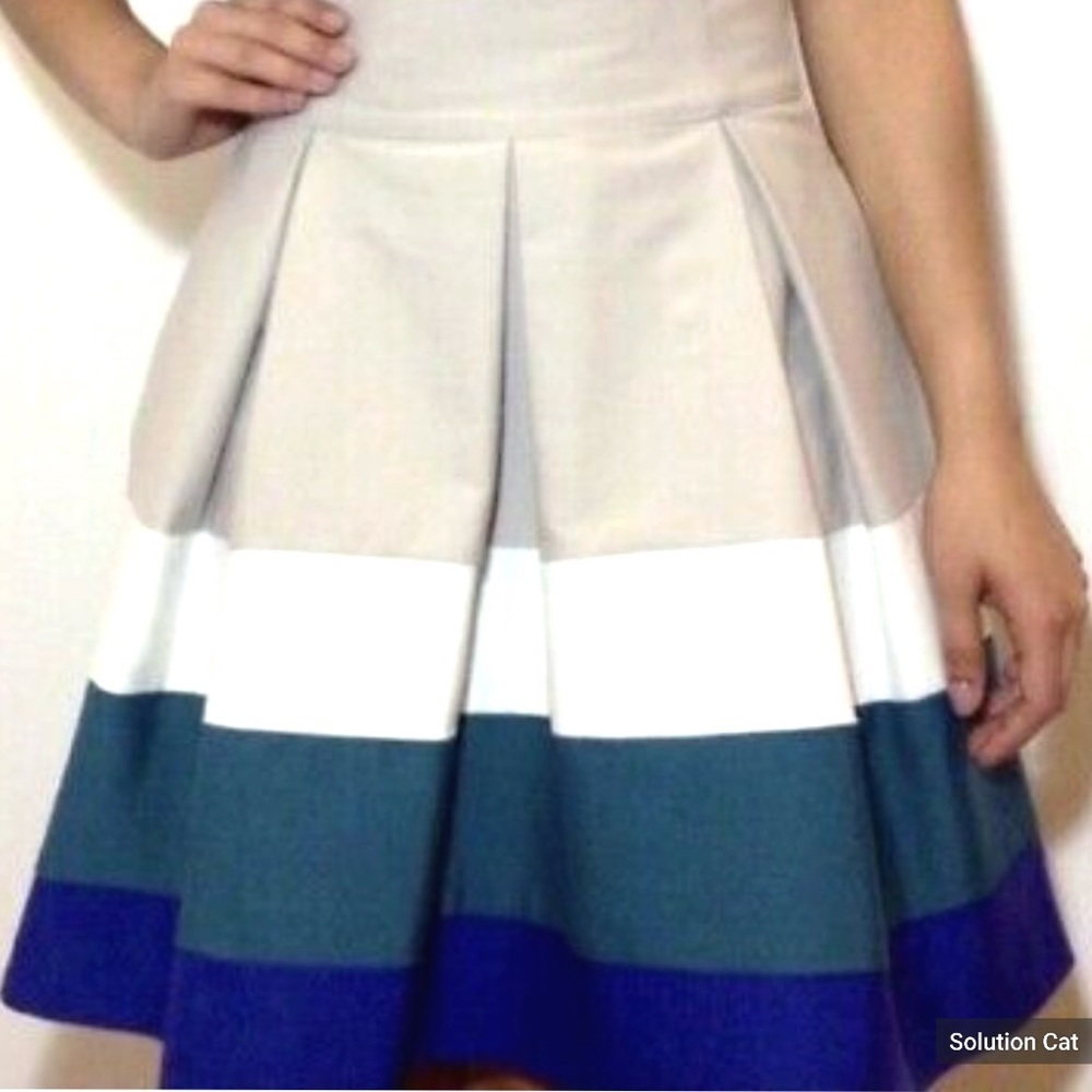 - Zara Pleated Striped Skirt Size Small